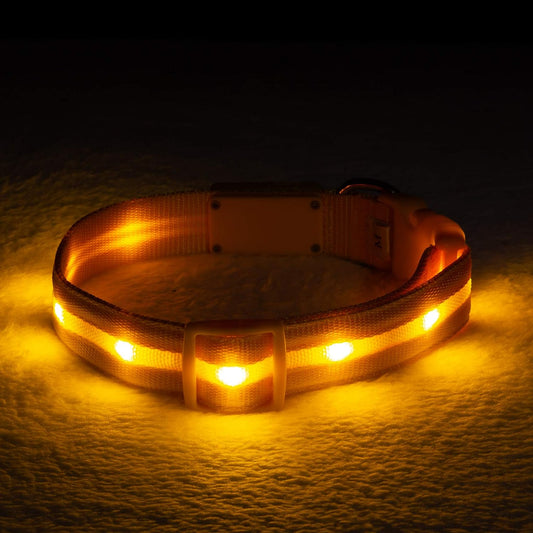 ' Safety LED Dog Collar – USB Rechargeable with Water Resistant Flashing Light